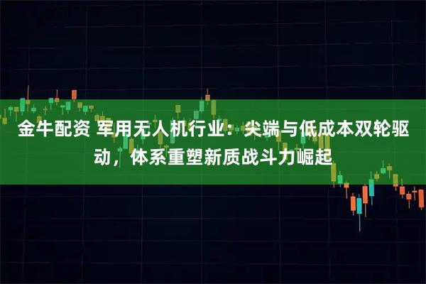 金牛配资 军用无人机行业：尖端与低成本双轮驱动，体系重塑新质战斗力崛起