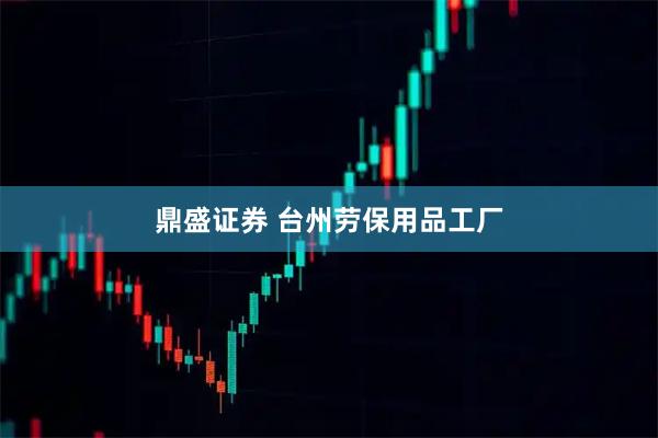 鼎盛证券 台州劳保用品工厂