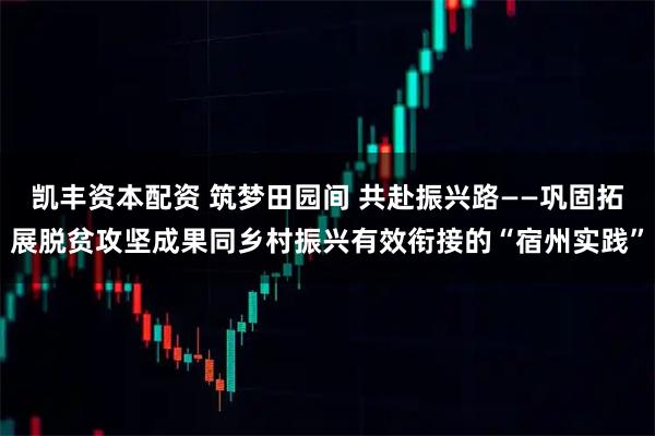 凯丰资本配资 筑梦田园间 共赴振兴路——巩固拓展脱贫攻坚成果同乡村振兴有效衔接的“宿州实践”