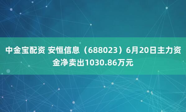 中金宝配资 安恒信息（688023）6月20日主力资金净卖出1030.86万元